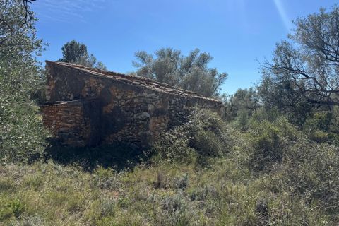 Tomt i Rossell, Castellon, Rossell - € 35 000 | Ref: Canguro - foto 3